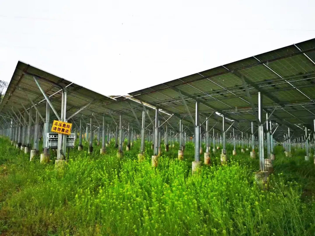 供電局太陽能光伏發電應用—SVG(圖1)